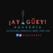 AY GUEY NYC logo